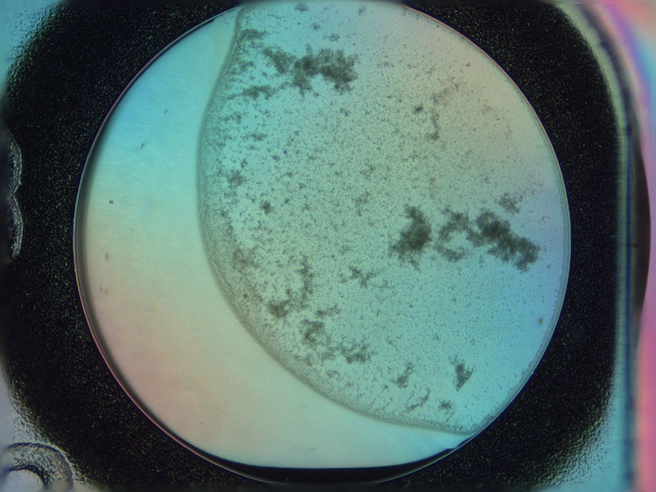 0584_B12_ImagerDefaults_2.jpg