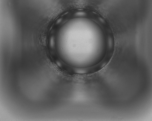 X0000038920190200409291015.png
