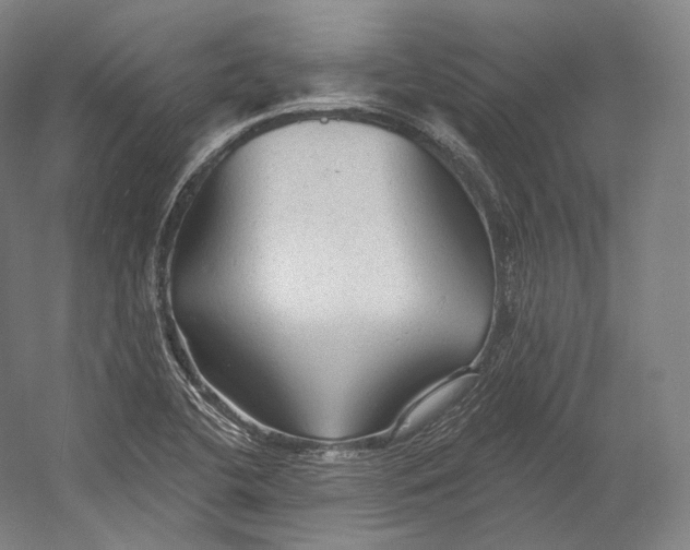 X0000055211412200508301310.png