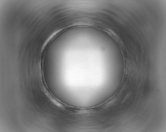 X0000054330796200508111918.png