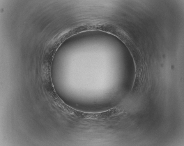X0000054650773200508091641.png