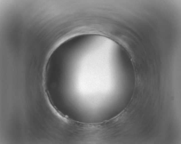X0000054331528200508111906.png