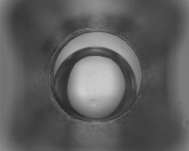 X0000054930002200508291644.png
