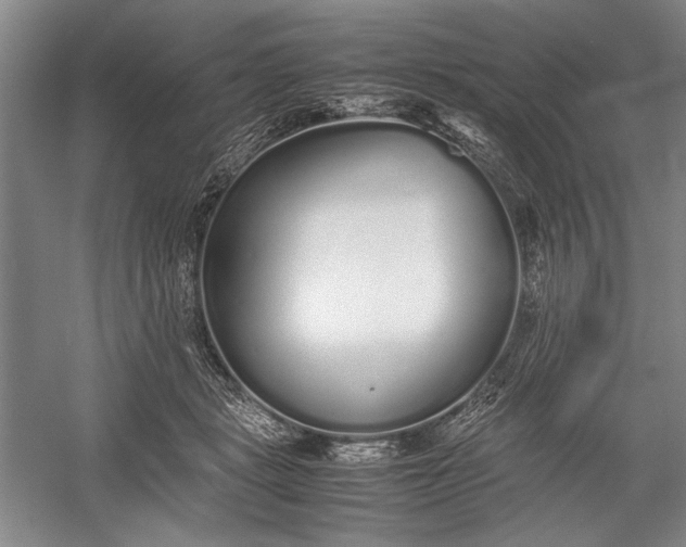 X0000055060461200508161650.png