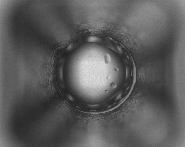 X0000044151012200412271248.png