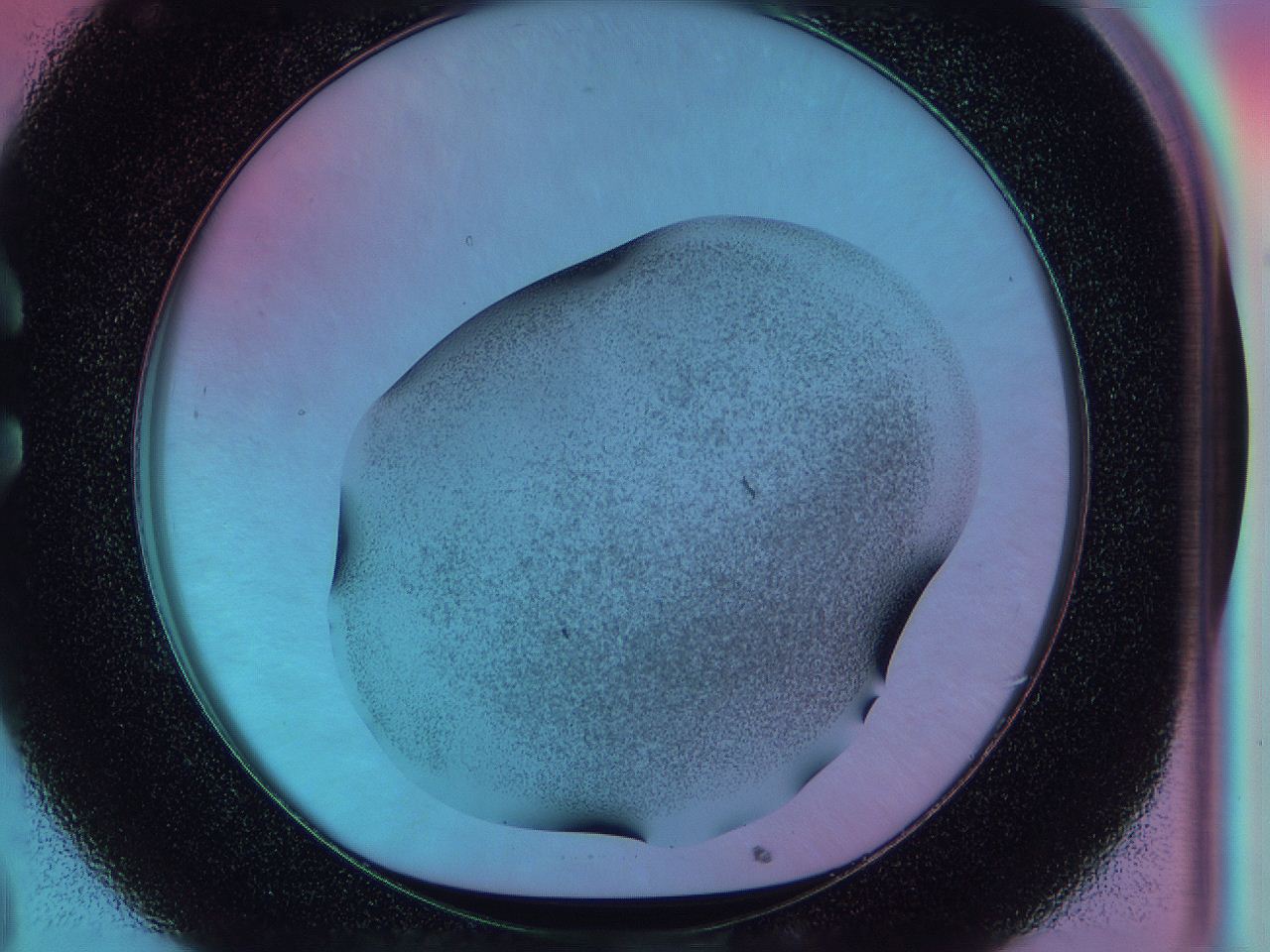 0584_C8_ImagerDefaults_3.jpg
