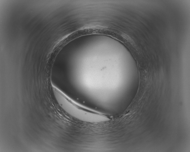 X0000055210872200508301319.png