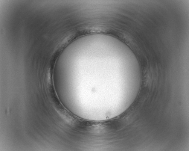 X0000054330310200508111926.png