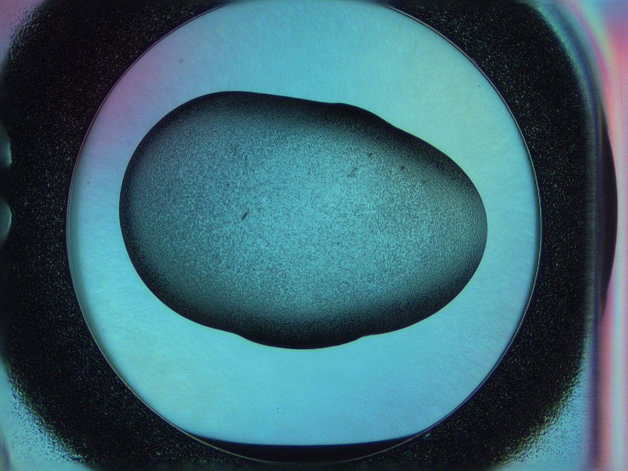 0584_C9_ImagerDefaults_3.jpg