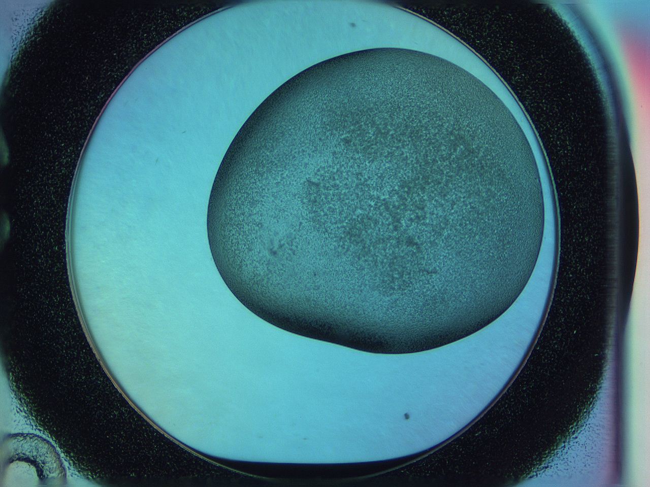 0584_C10_ImagerDefaults_3.jpg