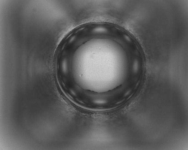 X0000039761089200409281020.png
