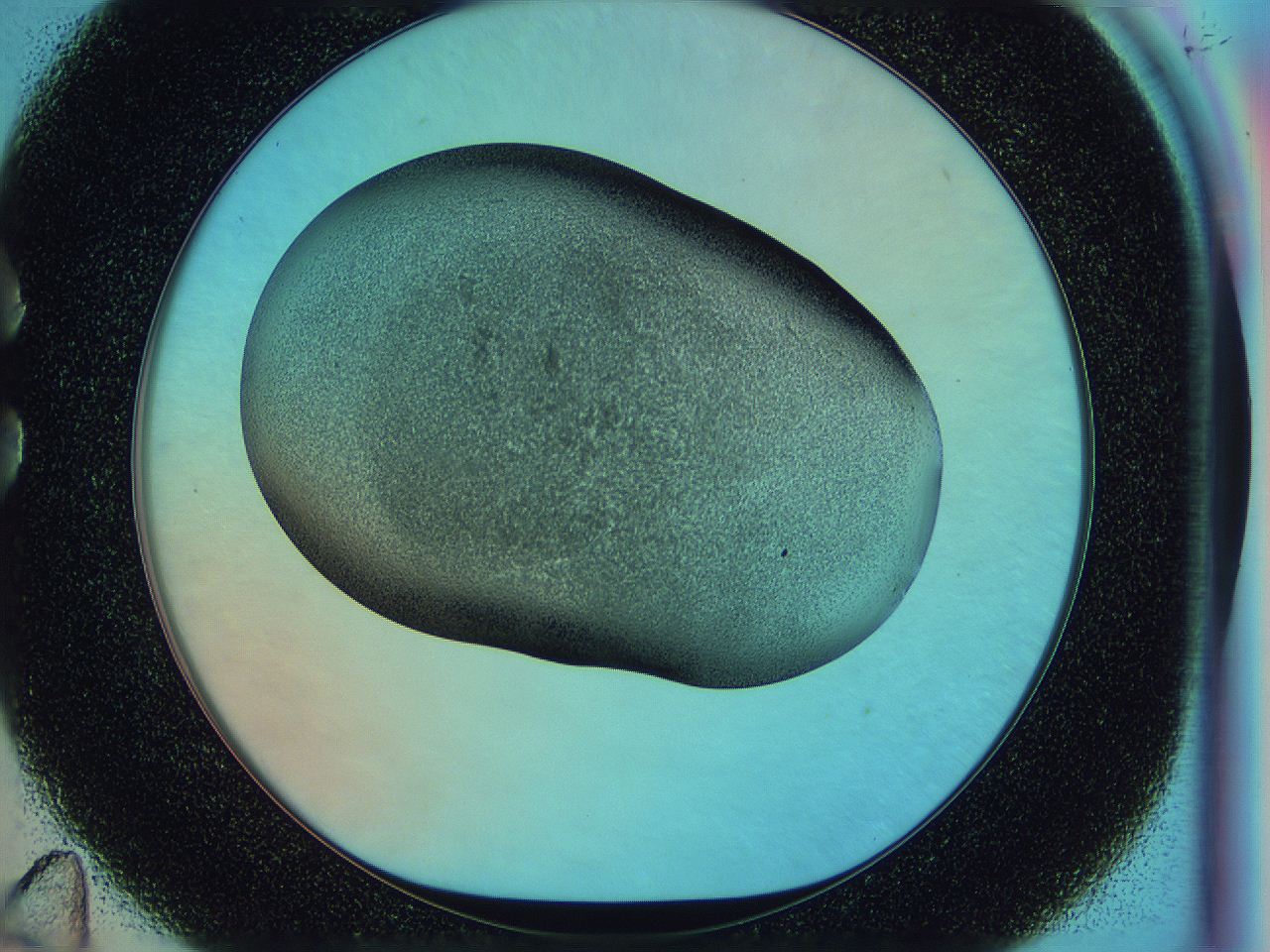 0584_C11_ImagerDefaults_3.jpg