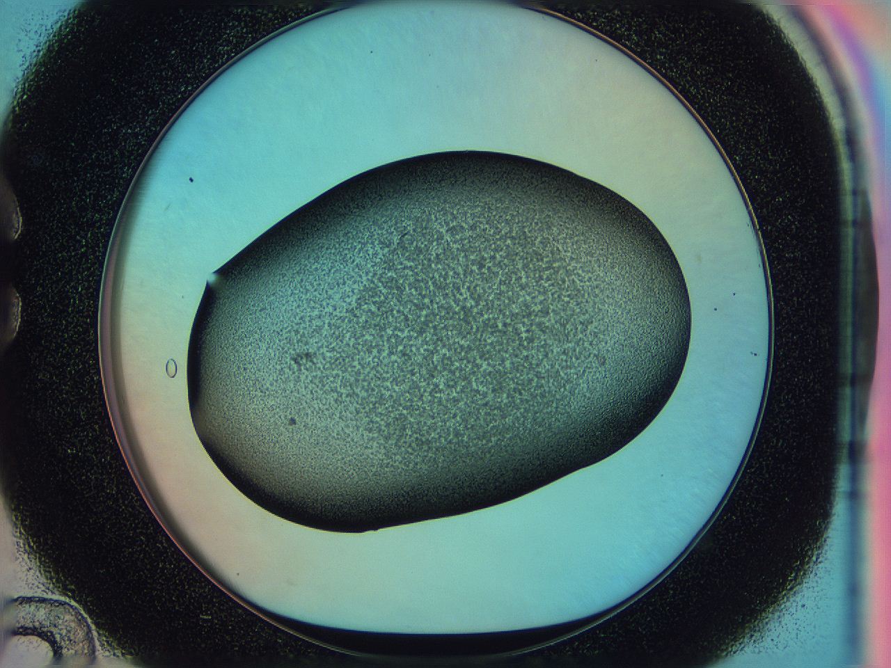 0584_C12_ImagerDefaults_3.jpg