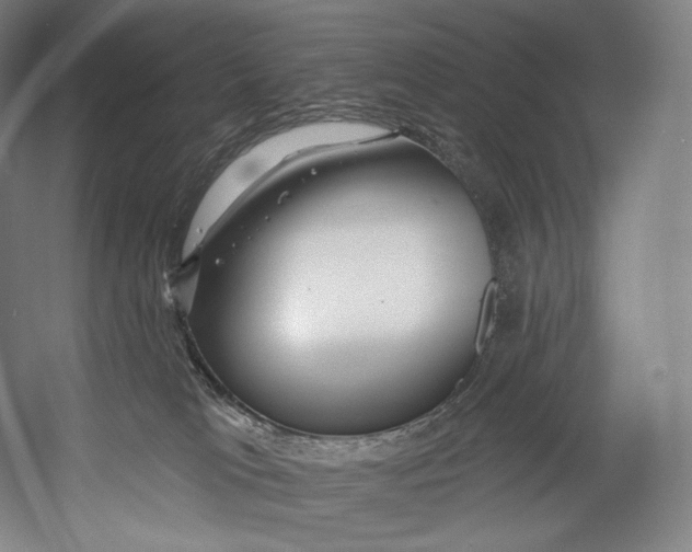 X0000055210037200508301333.png