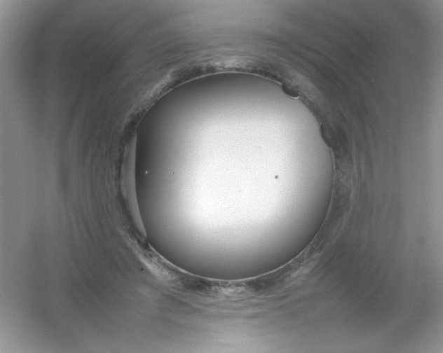 X0000054330401200508111924.png