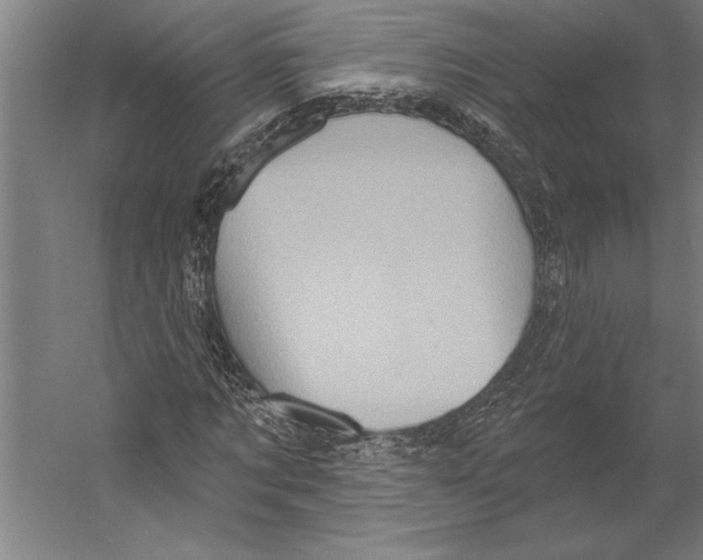 X0000055250869200509071613.png