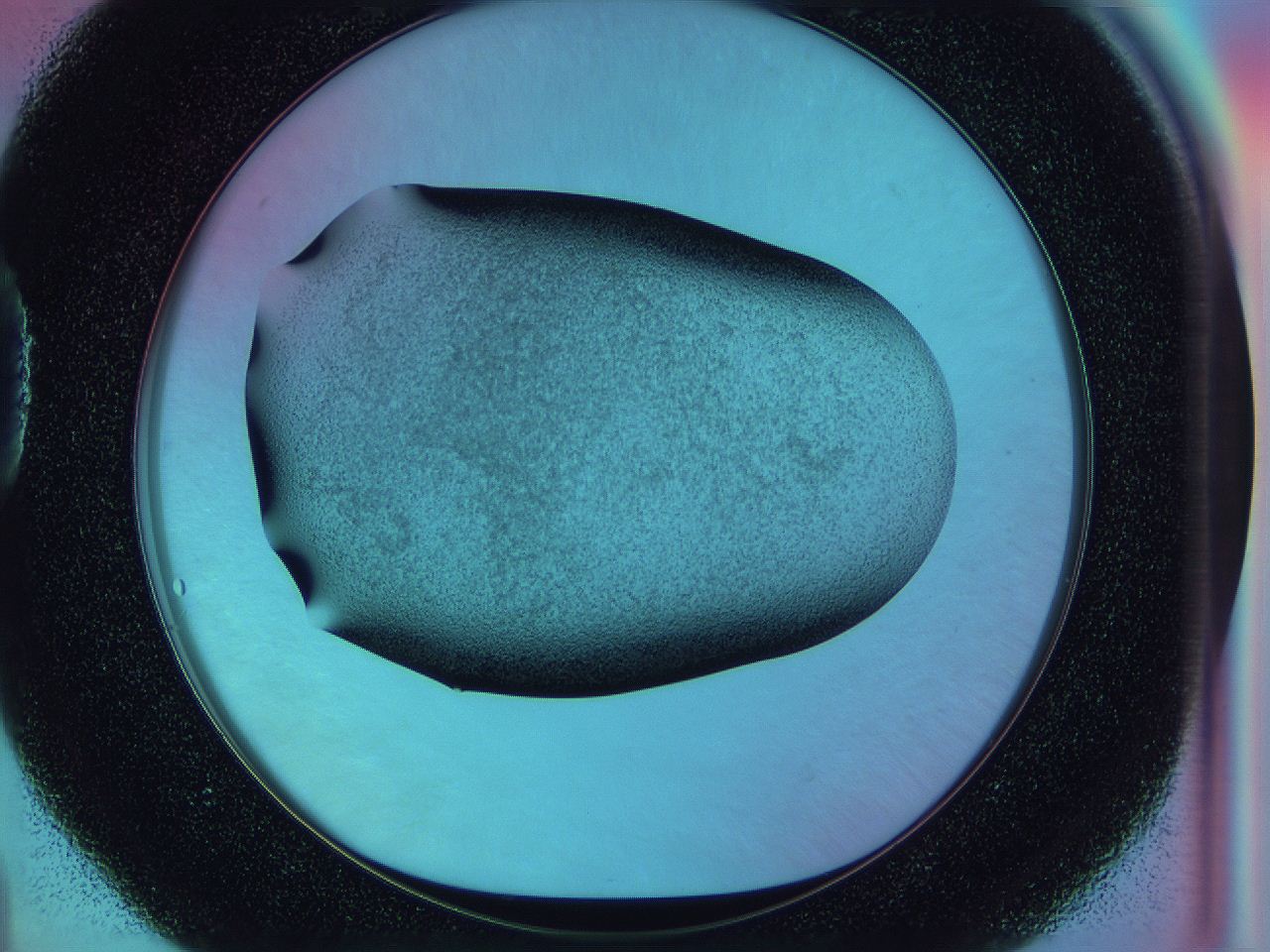 0584_D4_ImagerDefaults_3.jpg