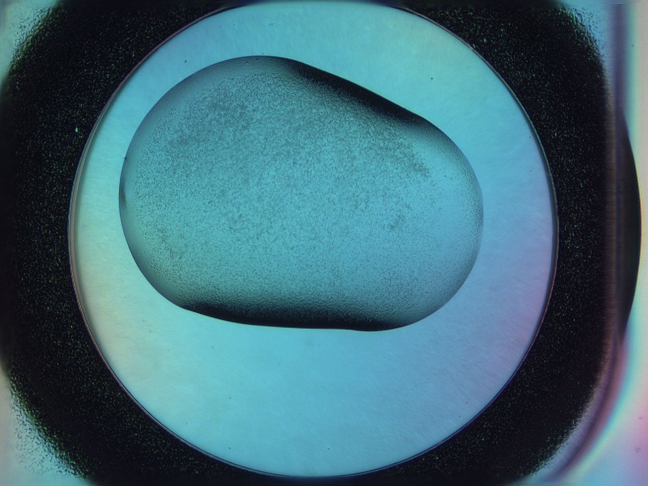 0584_D4_ImagerDefaults_2.jpg