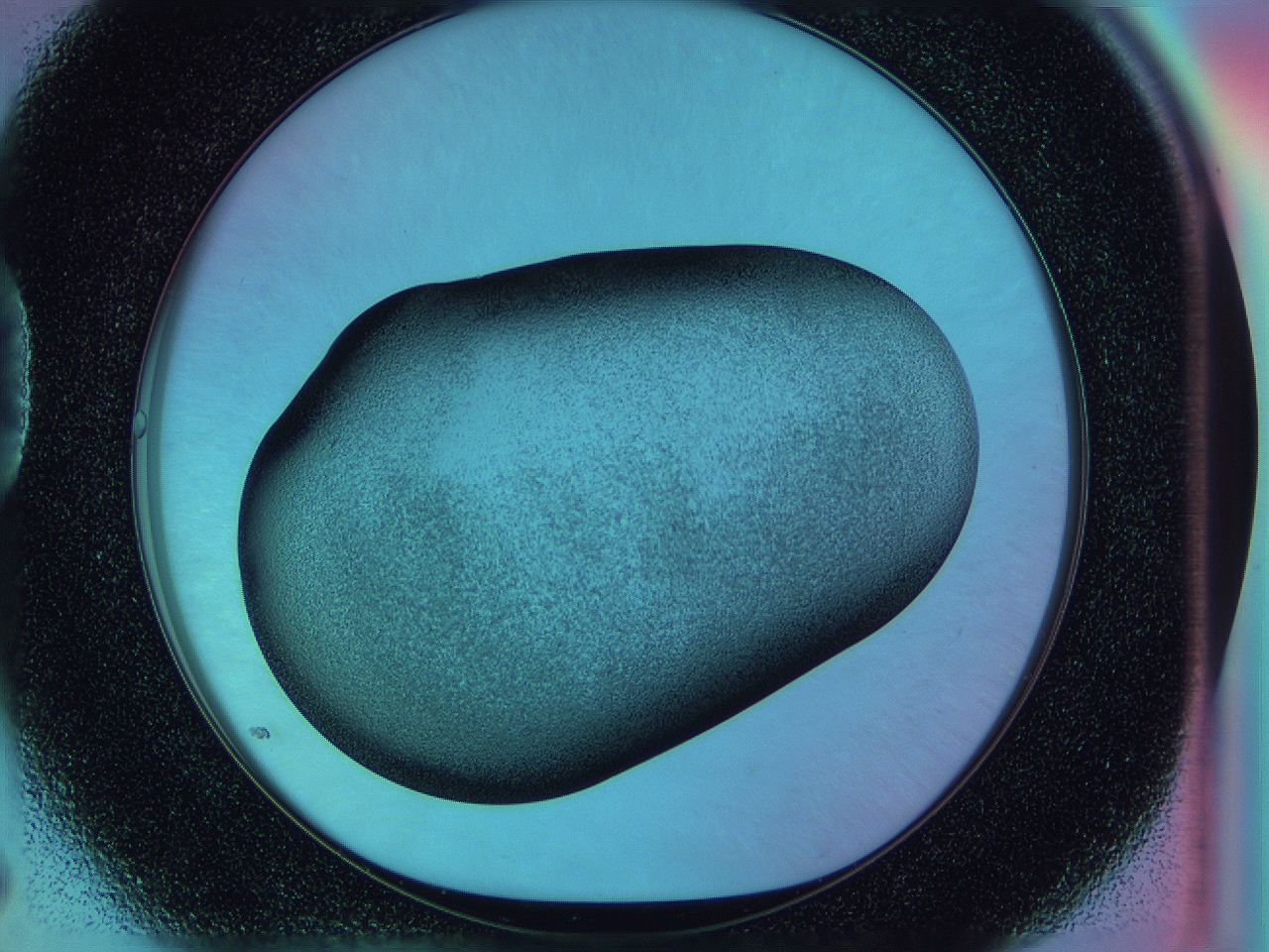 0584_D5_ImagerDefaults_3.jpg