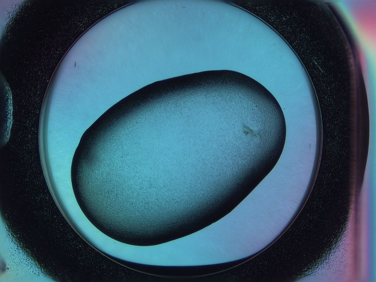 0584_D6_ImagerDefaults_2.jpg