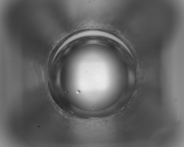 X0000052150011200507052003.png