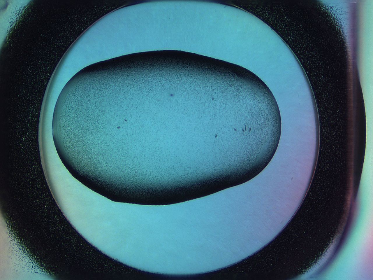 0584_D6_ImagerDefaults_3.jpg