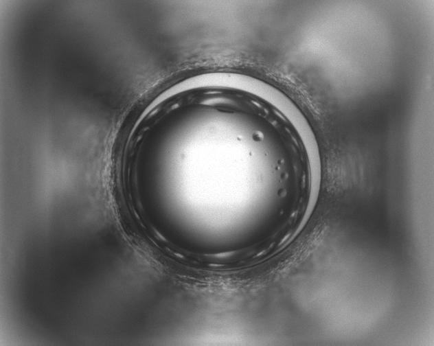 X0000046380439200502141049.png