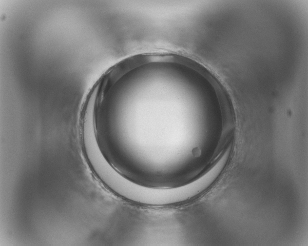 X0000052121488200507262038.png