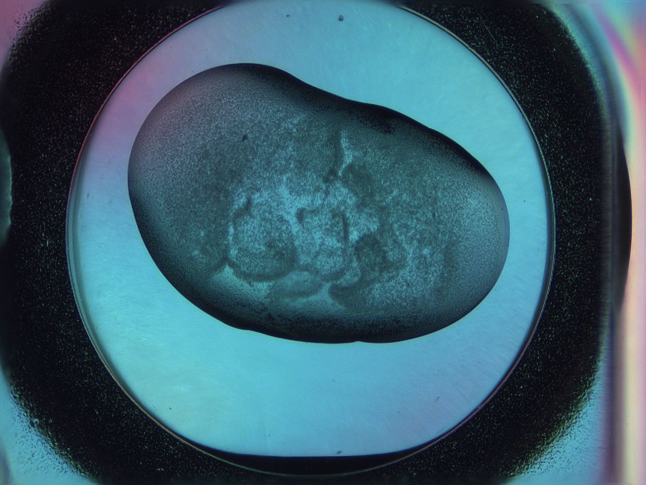 0584_D9_ImagerDefaults_3.jpg