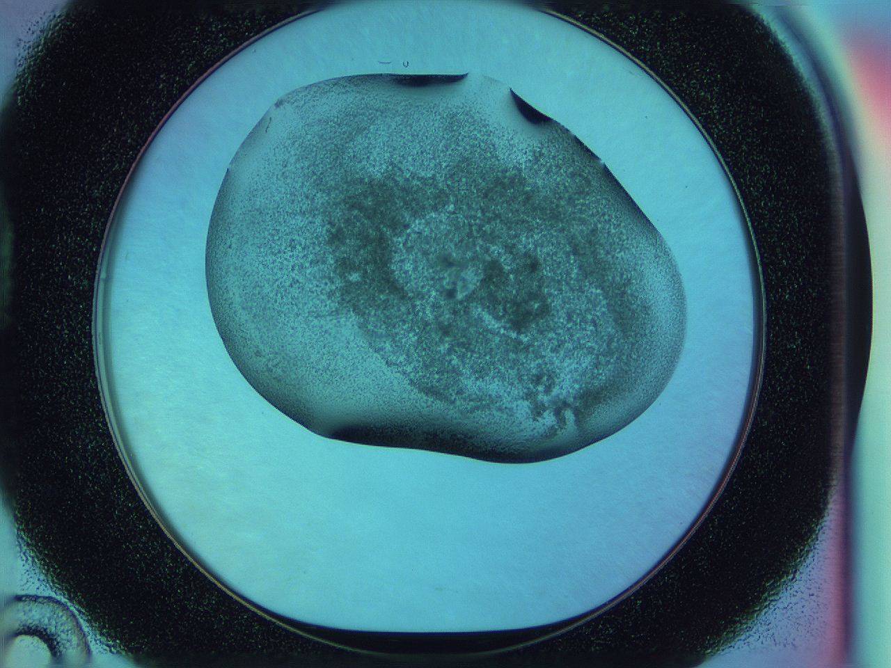 0584_D10_ImagerDefaults_3.jpg