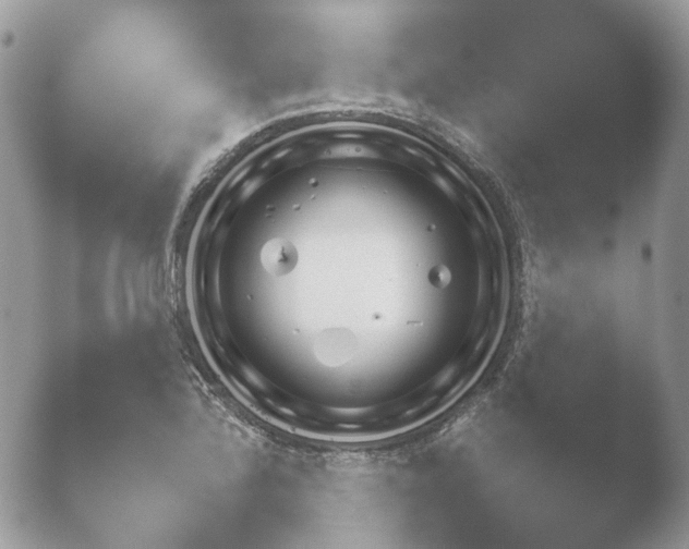 X0000052121172200507262044.png
