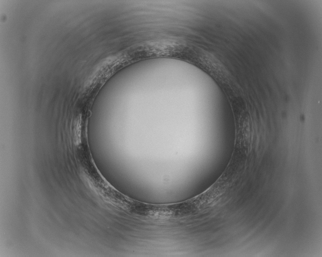 X0000054650694200508091642.png