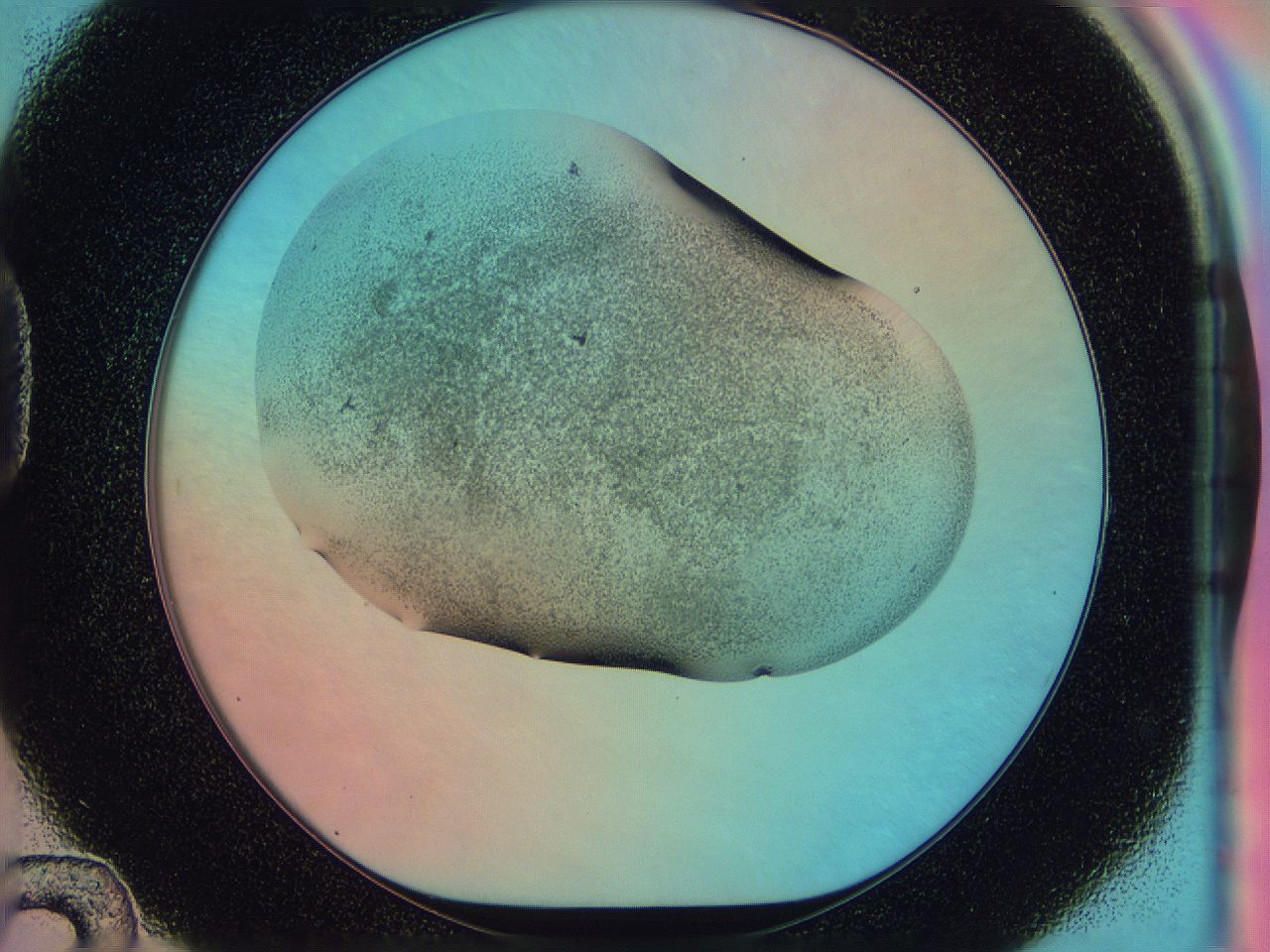 0584_D12_ImagerDefaults_3.jpg