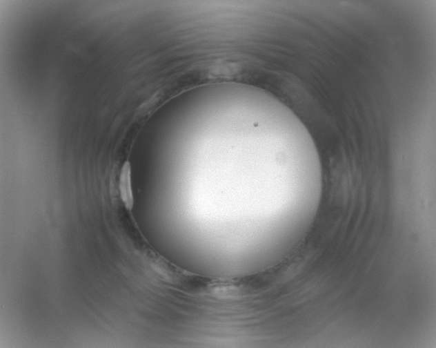X0000054330228200508111927.png