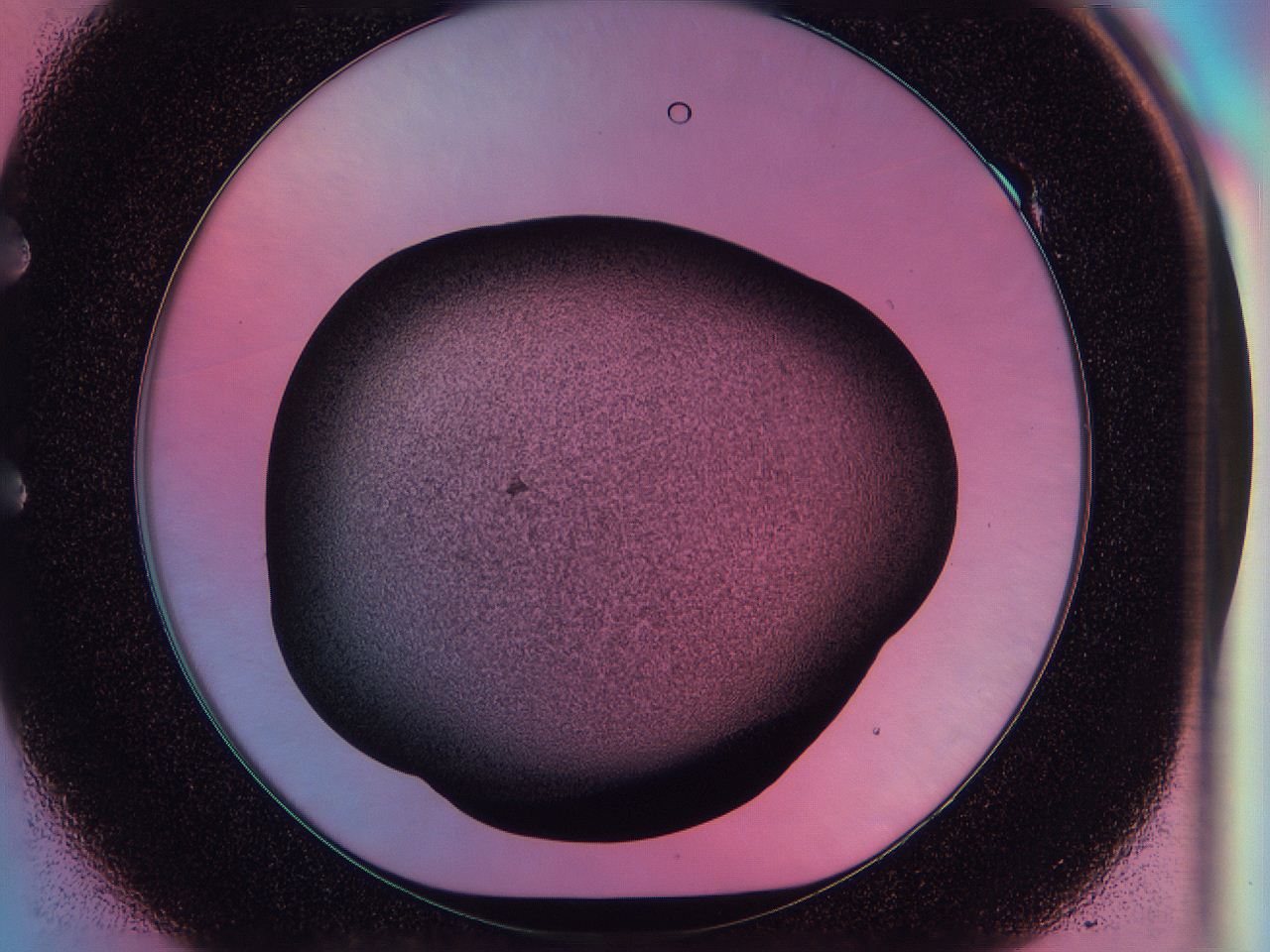 0584_E1_ImagerDefaults_3.jpg