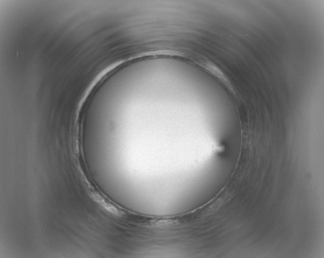 X0000054331140200508111912.png