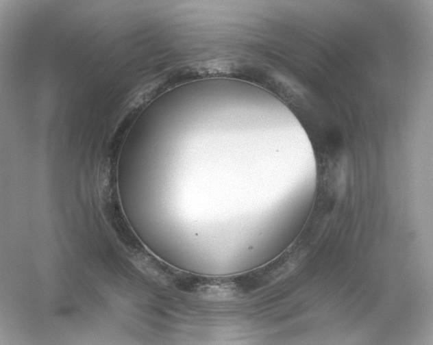 X0000054330548200508111922.png