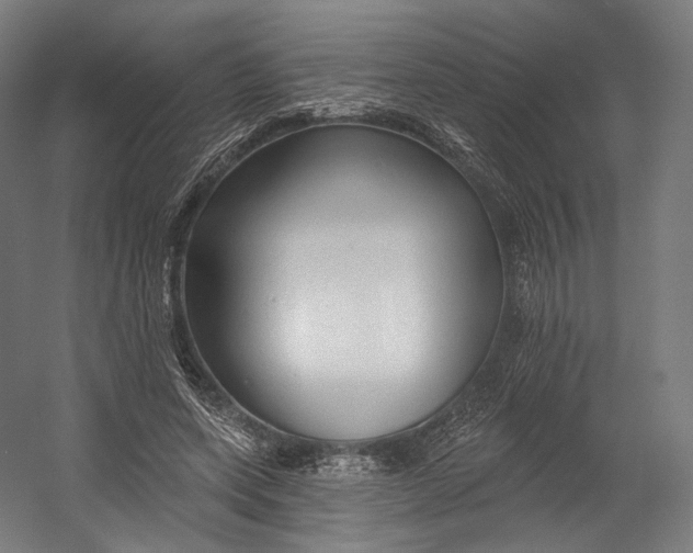 X0000055210543200508301324.png