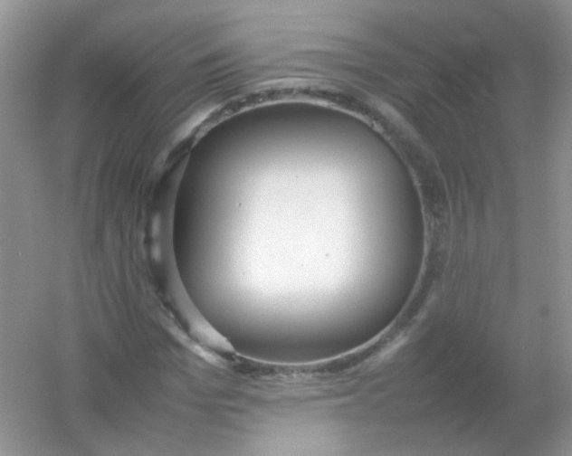 X0000054330969200508111915.png