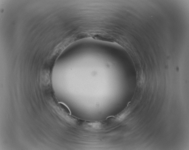 X0000054650478200508091646.png