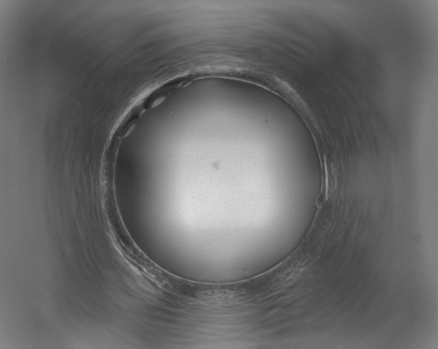 X0000055210435200508301326.png