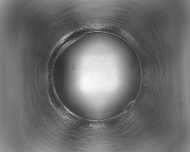 X0000055060440200508161650.png
