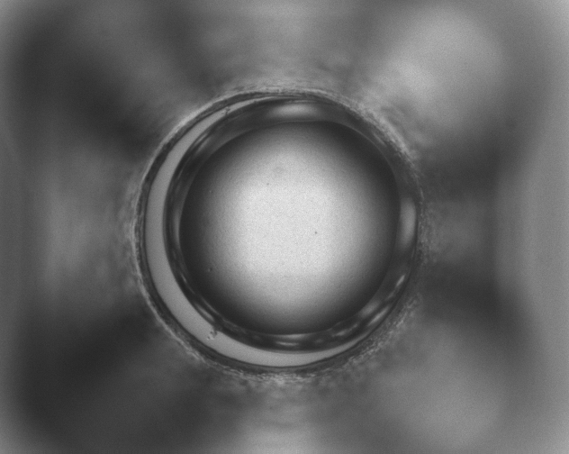 X0000045450847200502011655.png
