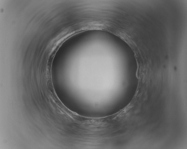 X0000054650338200508091647.png