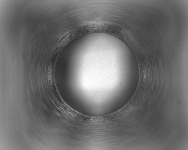 X0000055060964200508161641.png