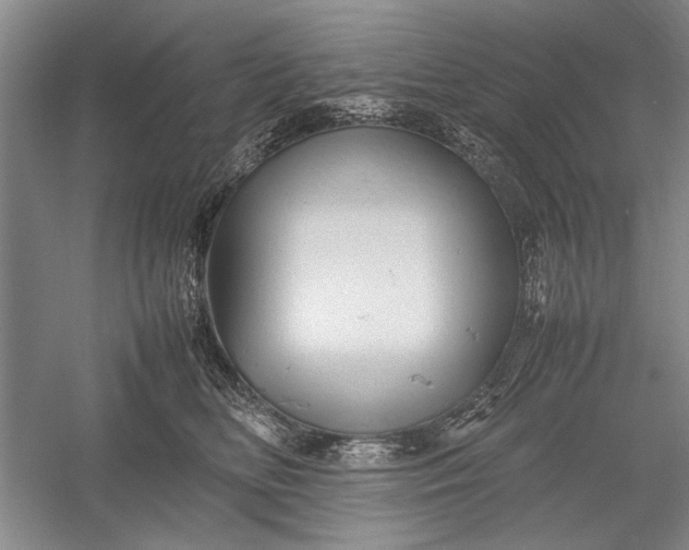 X0000055060518200508161649.png