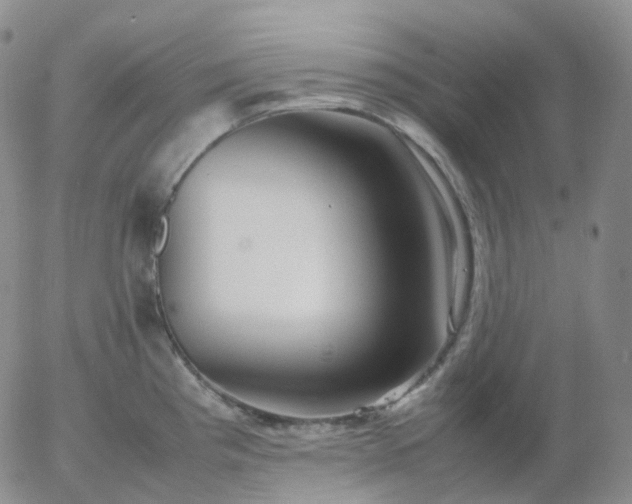 X0000054651193200508091633.png