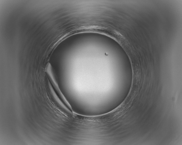 X0000055211361200508301311.png