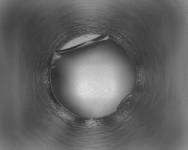 X0000055210616200508301323.png