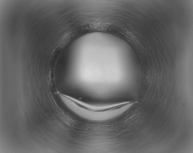 X0000055250693200509071616.png